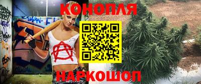 спиды Гусь-Хрустальный