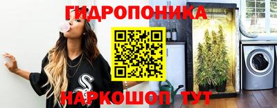 спиды Гусь-Хрустальный